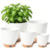 Anhow Vaso per Piante da Interno Set di 5, Vaso Autoirrigante Taglie miste | Ø 12.5/14/15.2/16.5/17.8cm Vasi in 100% Plastica Riciclata per Casa e Ufficio Vasi Fiori per Orchidee, Basilico, Bianco