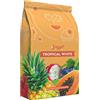 iYeast Lievito Enologico Selezionato - Tropical White 0,500 kg - Lievito per Vinificazione/Fermentazione/Vino