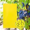 Jusduit - Set di 30 trappole adesive per insetti con trappole gialle per chiocciole, adesivi double face per mosche bianche, foglie di montagna, trigipsee, afoglie e altri insetti