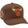 Mitchell & Ness NBA - Cappellino snapback Pro Crown Chicago Bulls, colore: marrone e verde