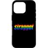 Punk & Drunk Queercore Fashion Custodia per iPhone 16 Pro STRAGGOT Bandiera arcobaleno divertente etero queer