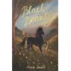 Anna Sewell Black Beauty (Tascabile) Wordsworth Children's Classics