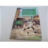 Tessa Hamilton Patricia Barnard Escape from the Workhouse (Tascabile)
