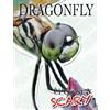 Louise & Richard Spilsbury Up Close & Scary Dragonfly (Tascabile)