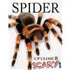 Louise & Richard Spilsbury Up Close & Scary Spider (Tascabile) Up Close & Scary