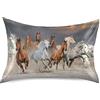 Vnurnrn Arte Carina Regalo Animale Cavallo Federe Cuscino Letto, Federa Guanciale Pillowcase in Seta Morbida per Capelli e Pelle con Chiusura a Busta standard/regina/re