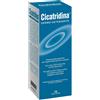 Farma-Derma Farma Derma Cicatridina - Dermo Detergente Corpo, 200ml