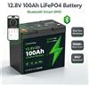 Batteria LiFePO4 Blossom 12.8V 100Ah, Batteria al Litio a Ciclo Profondo 1280Wh con BMS Intelligente, Impermeabile IP67, Oltre 15000 Cicli, Perfetta per Camper, Sistemi Solari, Campeggio, Nautica,