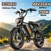 NONE Bicicletta Elettrica Bk20 con Motore a Coppia 90N.M, Batteria 48V20Ah, Doppio Freno a Disco, Doppia Sospensione, Pneumatici Fat da 20 Pollici, Bici Elettrica da Montagna Fuoristrada
