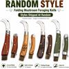 NONE Set di 1 coltello pieghevole per funghi (modello casuale) con spazzola per la pulizia, strumenti assortiti per la raccolta di funghi all'aperto, per la raccolta di funghi, il campeggio ed