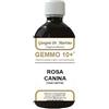 GIORGINI ROSA CANINA LIQ ANALCO GEMM10+ - GIORGINI - 924298060