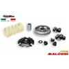 Malossi VARIATORE MALOSSI MULTIVAR 2000 SCOOTER KYMCO AGILITY LIKE PEOPLE 125 150 511440