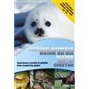 Wildlife: Fishing Animals 1 And 2/Drink Or Die/Alaska (DVD)