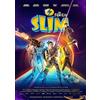 De Familie Slim (DVD)