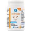 LABORATOIRE NUTERGIA Ergycebe Integratore Multivitaminico Nutergia 90 Capsule 43 Grammi con Vitamine del Gruppo B, Vitamina C, Vitamina E e Selenio