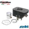 Polini GRUPPO TERMICO Ø 43 Ø 12 POLINI SENZA TESTATA CICLOMOTORI PIAGGIO 140.0065/ST
