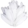 ROOMHUAWAY 150 piume per fai da te, 10 ~ 15 cm, piume bianche, acchiappasogni, fai da te e design di vestiti (bianco)