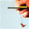 Brian Ales Creature of Habit (CD) Album