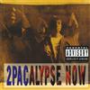 2Pac 2Pacalypse Now (Vinyl LP) 12" Album
