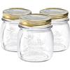 Bormioli Rocco Quattro Stagioni di Vetro Barattoli - Tradizionale della Cucina di Scatola Metallica con Tappo a Vite Coperchio - 250ml - Confezione da 3