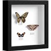 EUGAD Cornice 3D per Foto 30x30cm, Portafoto da Parete/Tavolo, Cornice Profonda in Legno per Oggetti Fino a 3cm Passepartout Incluso, Sfondo Decorativo della Parete, Nero