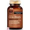 SALUGEA (RELOAD SRL) SALUGEA COLONSAN FORMULA POTENZIATA 60 CAPSULE