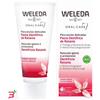 WELEDA ITALIA SRL DENTIFRICIO RATANIA 75 ML