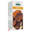 DR.GIORGINI SER-VIS SRL REISHI 180 PASTIGLIE