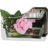 Flair Flower Portacandele in vetro con lumino decorato con fiori e rose, portacandele decorativo da tavolo, lanterna portacandele romantica decorazione per matrimoni