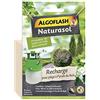 ALGOFLASH NATURASOL Ricarica per PiÃšge Pirale del bosso, 3 Capsule di feromoni, 6 Mesi di efficacia, BIOPIBUIR