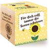 Feel Green Celebrations Ecocube, Semi di Girasole bio, cubo di Legno con Incisione Laser für Dich Soll Immer Die Sonne Scheinen, Idea Regalo sostenibile, Set di Coltivazione, Made in Austria