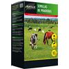 Semillas Batlle Semi di Prateria - 1kg
