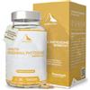 ALPS NATURE Berberine Fitosomada Berbevis® 600 Mg - 60 Capsule per 30 Giorni - B