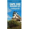 J M Kavanagh Cape Cod Seashore Life (opuscolo) Nature Observation North America