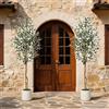 Garvee Set di 2 Alberi di Ulivo Artificiali 152,4 cm, Ulivo Finto con Tronco in Vero Legno e Frutti Realistici, Pianta Artificiale Alta da Interno con Vaso Bianco, Decorazione per Casa e Ufficio