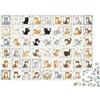 XiaopangXY Cat Palace Grid 1000 Pezzi Puzzle Carta riciclabile Multicolor Feline Puzzle per Adults Fun Present & Activity per la casa ottima idea regalo per uomini 52x38cm/1000 pezzi