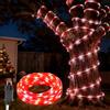 MaxEarn Tubo luminoso lungo 32,8 FT con 200 LED fai da te, 8 modalità, impermeabile, decorazione natalizia per giardino, terrazza e balcone