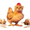 Generisch Divertente peluche a forma di e pollo, decorativo, giocattolo