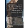 A Practical Essay on the Scientific Repair and Preservation of Publi (Tascabile)