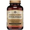 Solgar Fitoginkgo Integratore Memoria 60 Capsule Vegetali