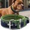 HQSHNY Collare per cani grandi NeckShield Kontroll - Collare per cane largo 5 cm con imbottitura extra spessa e maniglia, protezione professionale, 58‑66 cm, verde