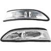 FGOFJG Indicatore Lampada 1 Paio Di Indicatori Di Direzione Per Specchietto Retrovisore Per Mercedes Per Benz Classe A W169 W245 A1698200521 A1698200621 luce segnalazione