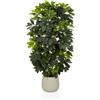 hjh OFFICE - Pianta artificiale Schefflera 2 - Imitazione sempreverde ca. 110 cm | Täuschend echt, miscela di plastica di alta qualità, facile da mantenere e inodore