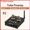 Douk Audio P2 HiFi Vacuum Tube Preamp ricevitore Bluetooth 5.0 amplificatore per cuffie Stereo lettore musicale USB