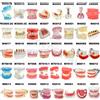 YOYADENT Tipi multipli Modello dentale Denti Modelli didattici dentali Studio Ortodontico Denti rimovibili Modelli di impianti Materiale per dentista