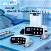 syjh Micromotore Elettrico Brushless SYJH con Lampada a Fibra Ottica, Manipolo Contrangolo Tipo E 1:1/1:5, Strumenti per Dentisti
