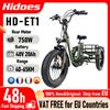 Hidoes Triciclo Elettrico Hidoes Et1 750W 48V 20Ah con Batteria al Litio, Moto Elettrica, Bici Elettrica con Pneumatici Fat da 20*4*3 Pollici, E-Bike per lo Shopping