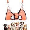 Generico Amaca Per Toelettatura Cani - Imbracatura Toelettatura Cani - Accessorio per Casa, Pet Spa e Assistenza al Bagno