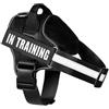 XFSRG Pettorina Cane Antifuga Imbracatura per Cani a Gilet Cane Anti Tiro Pettorina Riflettente con Maniglia Imbracatura Cani Traspirante per Addestramento Passeggiate (M)