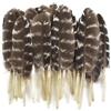 EEfpxwtz Le piume, Fagiano Tur Pollo Gallo Oca Struzzo Piume di Pavone 6-10 cm 20 100 pz(100 Piece)